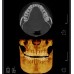 RayScan Alpha